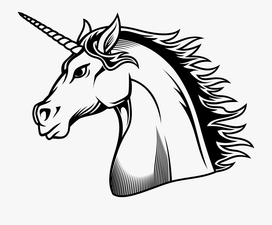 Desenho Preto E Branco Unicornio Clipart , Png Download.