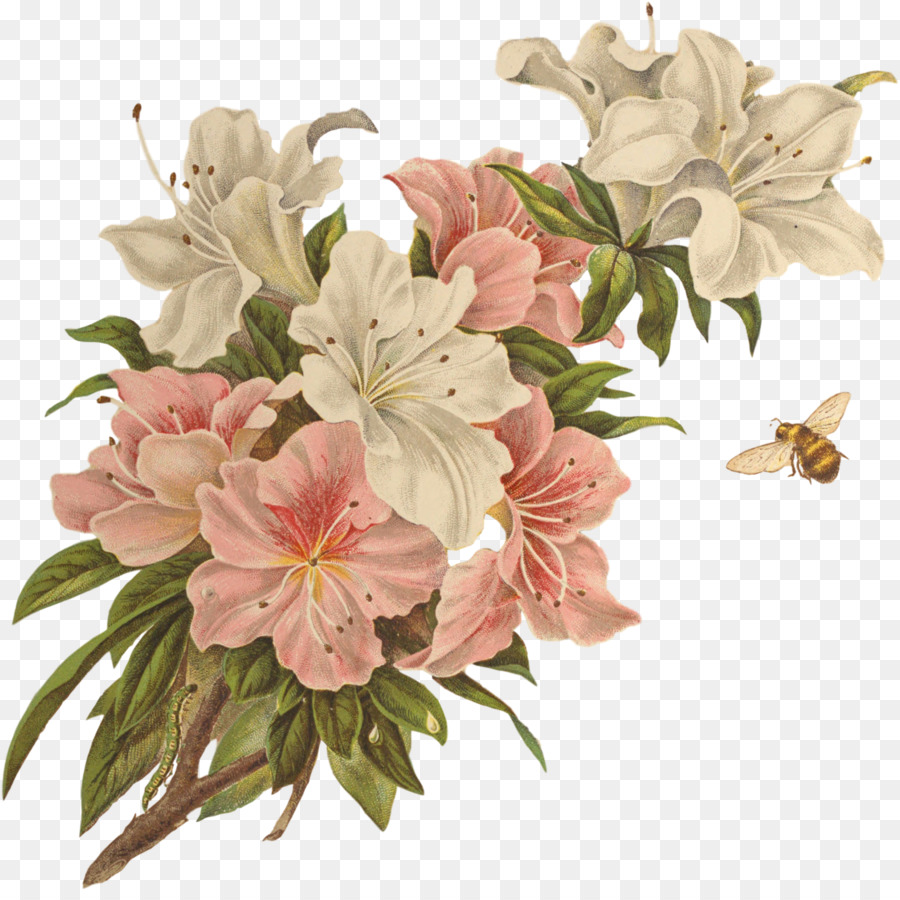 Floral Design Clip Art.