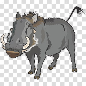 Warthog Cliparts transparent background PNG cliparts free.