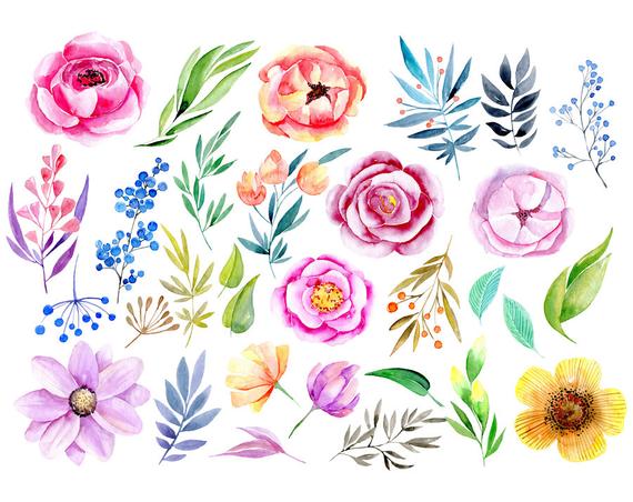 Watercolor floral clipart roses peony leaves branches flower.