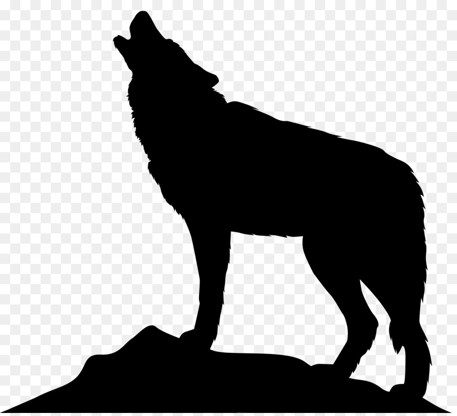 Wolf Cartoon clipart.