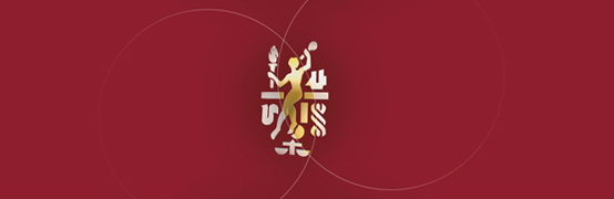 What does Bureau Veritas logo mean?.