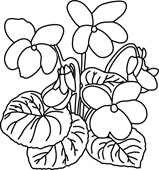 Violet Black And White Clipart.