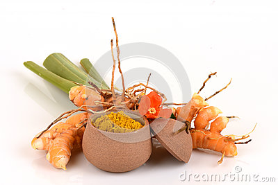 Curcuma Or Turmeric Stock Photo.