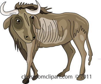 Wildebeest Clipart.