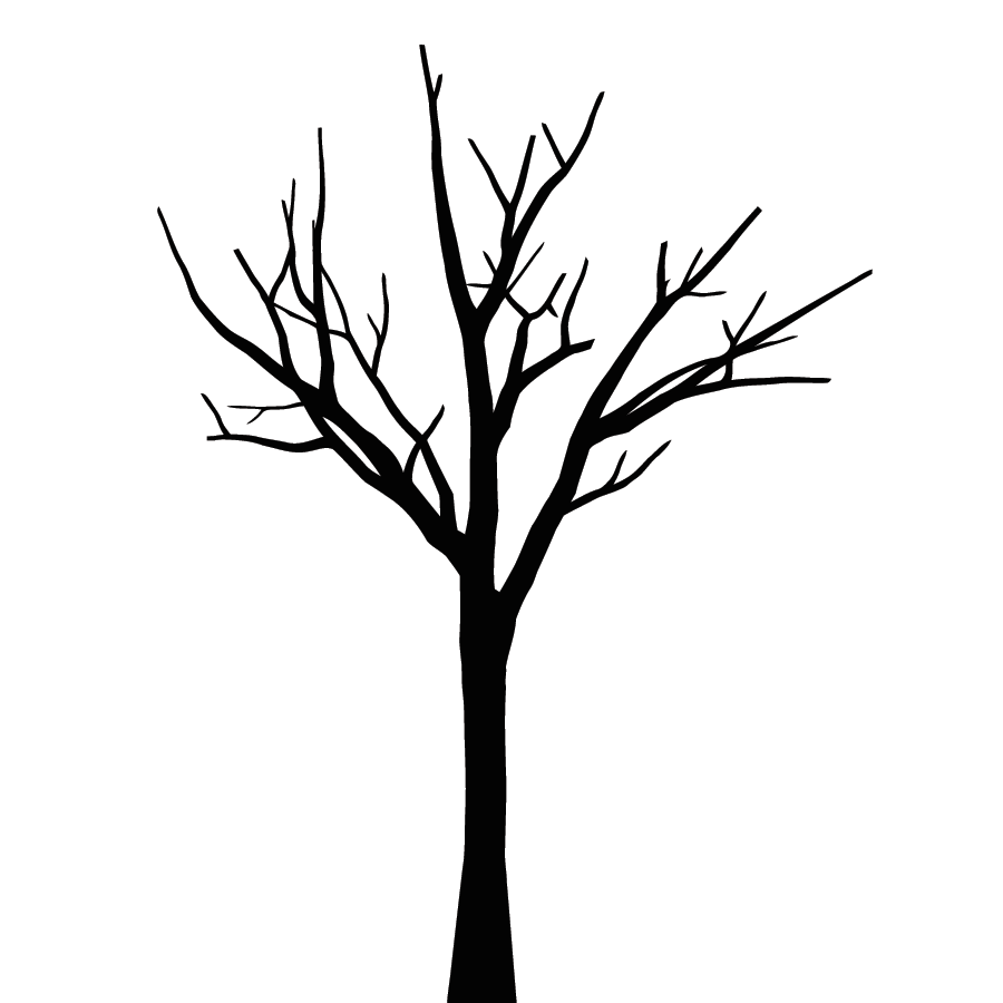 Clipart Tree Without Leaves.