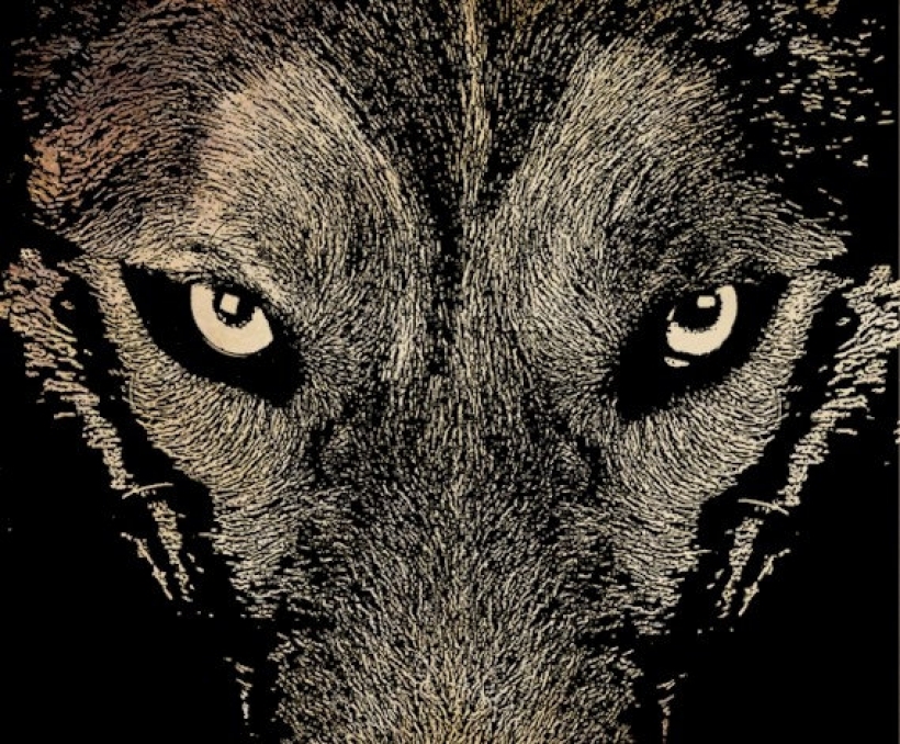 Wolf Eyes Clipart.