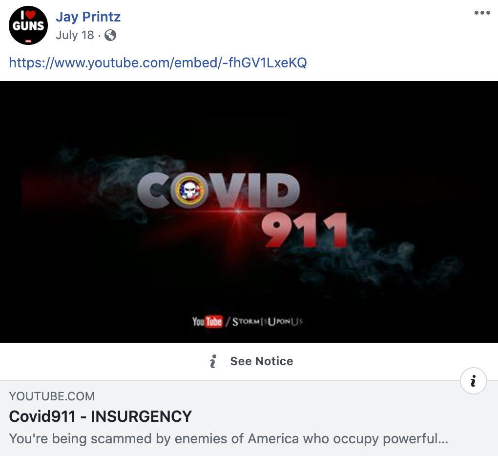 NRa board member Jay Printz shares video from one of the biggest QAnon accounts