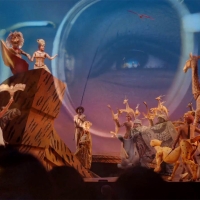 Watch: THE LION KING on Broadway Celebrates 25th Anniversary With Short Film Highligh Video