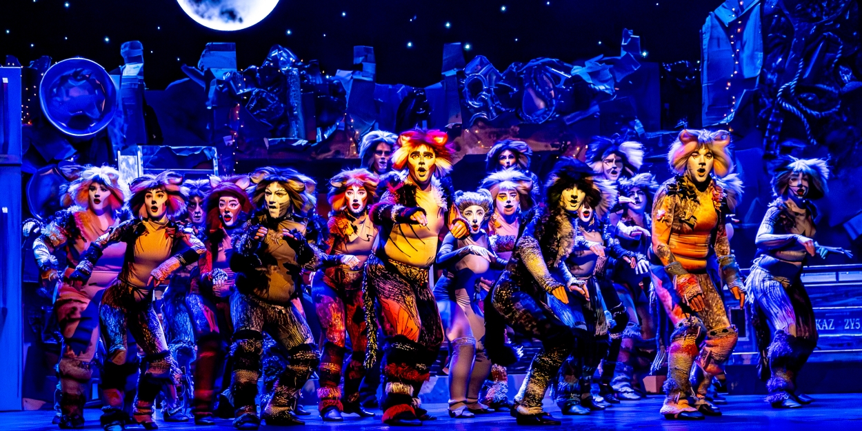 Photo/Video: CATS Comes To Life At Algonquin Arts Theatre Photo