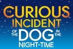 The Curious Incident of the Dog in the Night-Time