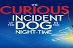 The Curious Incident of the Dog in the Night-Time