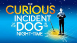 Curious Incident of the Dog in the Night-Time