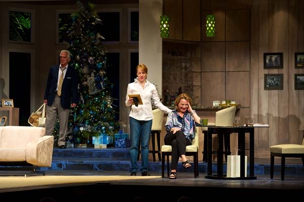 The Cast of OTHER DESERT CITIES: Joyce Cohen (Polly Wyeth), Nancy Lemenager (Brooke W Photo