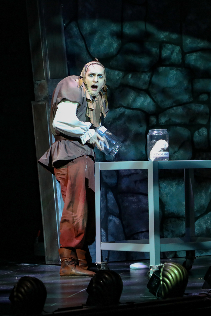 Photos: First Look at YOUNG FRANKENSTEIN at Berkshire Theatre Group 