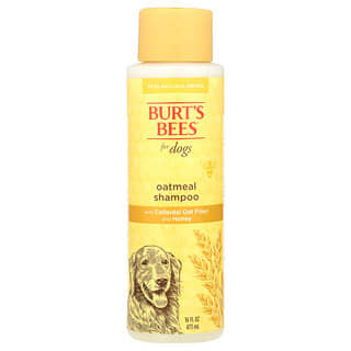 Burt's Bees, Shampoo de Aveia com Farinha de Aveia Coloidal e Mel, Para Cães, 473 ml (16 fl oz)