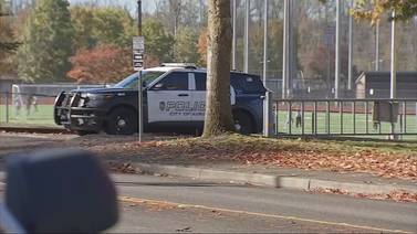 Washington schools using fewer school resource officers