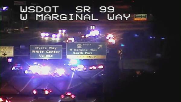 Man killed while crossing South Seattle freeway