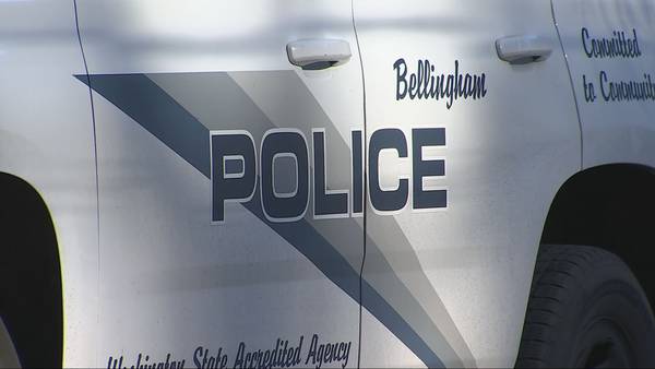 Massage spa across from elementary school raided for human trafficking in Bellingham