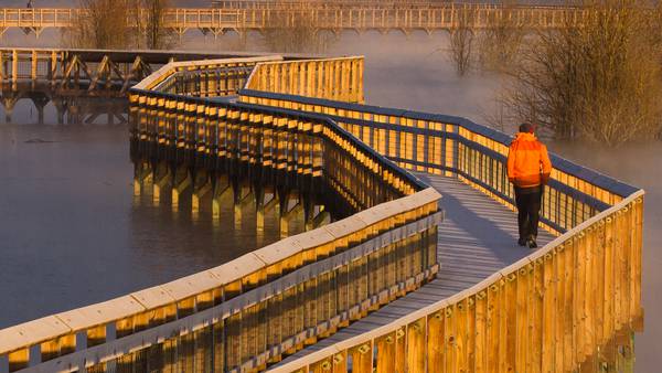 Billy Frank Jr. Nisqually National Wildlife Refuge celebrates 50th anniversary