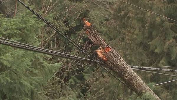 Rain, thunderstorms, wind likely through Wednesday