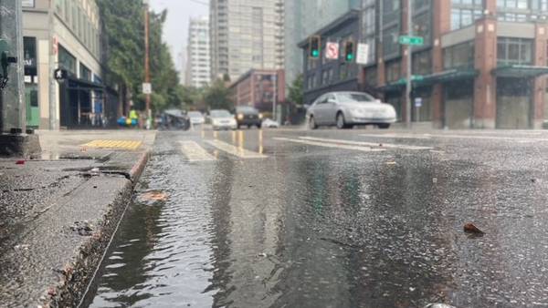 Rain, wind to follow third-wettest first week of November in 79 years 