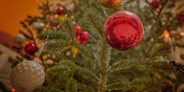 Im Lichthof der LMU steht ein geschmückter Weihnachtsbaum. Die Spitze ziert ein weißer Stern.