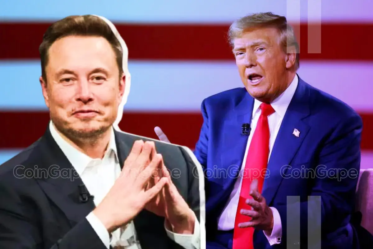 Elon Musk Raises Possibility Of Government Witch Hunt If Donald Trump Loses