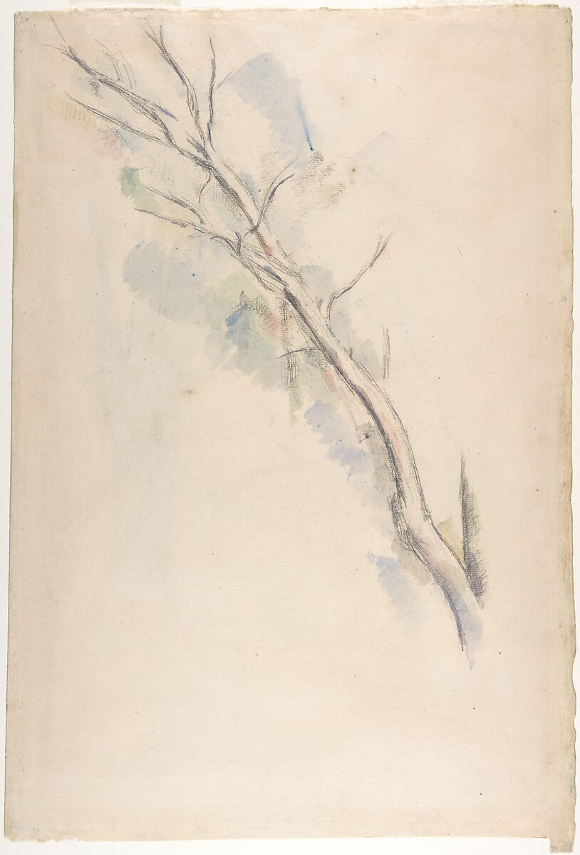 Studies of a tree (recto and verso), Paul Cézanne (French, Aix-en-Provence 1839–1906 Aix-en-Provence), Graphite with green, blue and yellow washes (recto); graphite with green, blue and purple washes (verso) 