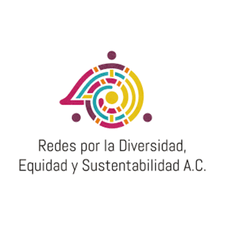 gráfica alusiva a Redes A.C. - Redes por la Diversidad, Equidady Sustentabilidad A.C.