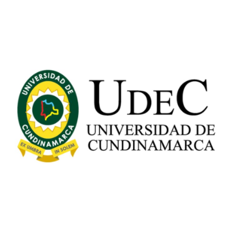 gráfica alusiva a Universidad de Cundinamarca