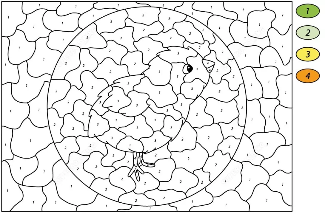 Chick Color by Number