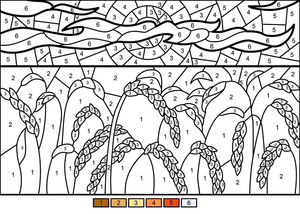 Field Color by Number