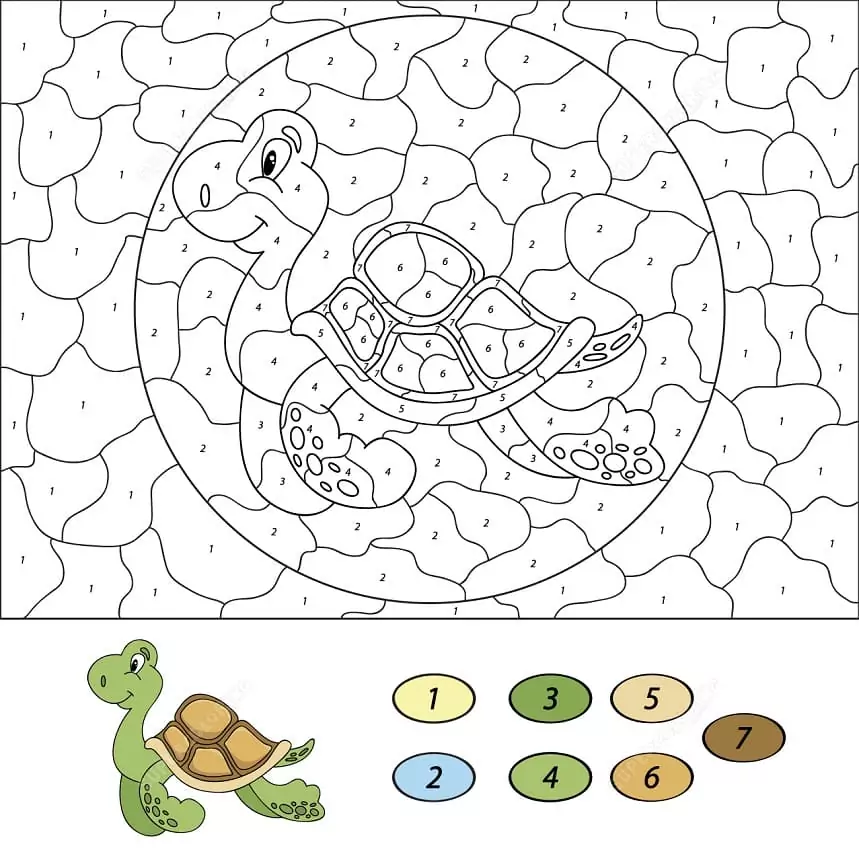 Sea Turtle Color by Number