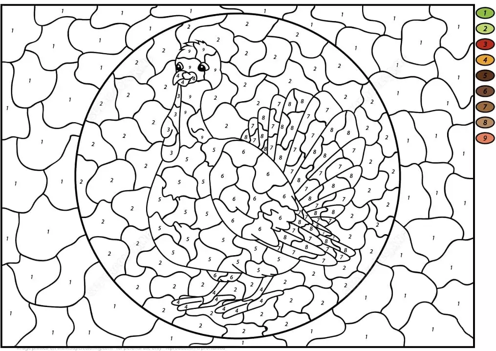 Turkey Color by Number