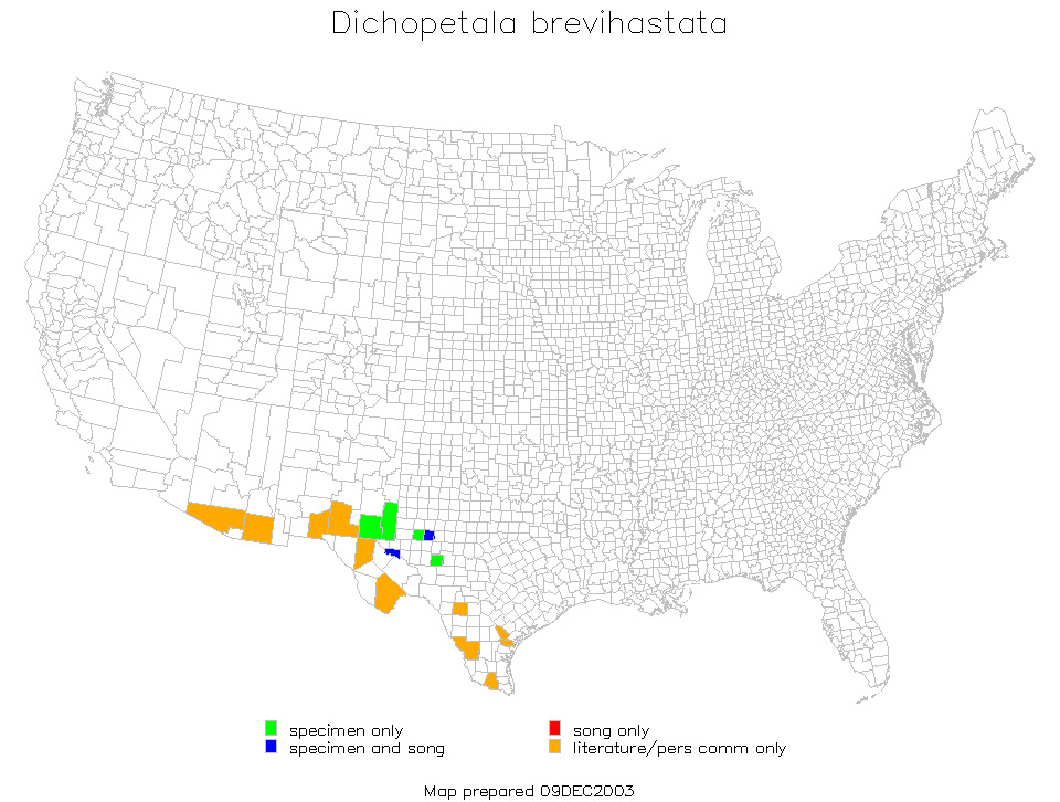 <span class="translation_missing" title="translation missing: en.medium.untitled.map_image_of, page_name: Common Short-winged Katydid">Map Image Of</span>