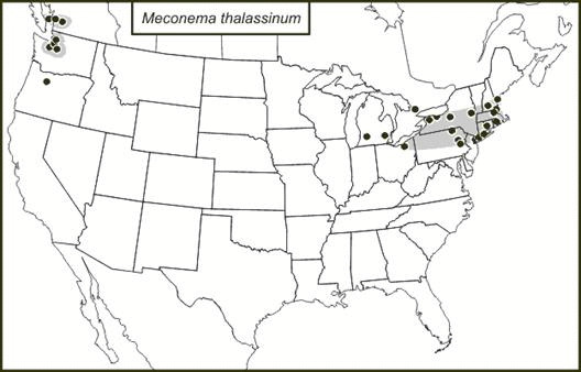 <span class="translation_missing" title="translation missing: en.medium.untitled.map_image_of, page_name: Drumming Katydid">Map Image Of</span>