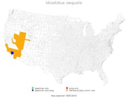 <span class="translation_missing" title="translation missing: en.medium.untitled.map_image_of, page_name: Idiostatus aequalis (Scudder &amp; S. H. 1899)">Map Image Of</span>