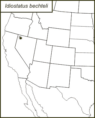 <span class="translation_missing" title="translation missing: en.medium.untitled.map_image_of, page_name: Bechtel&#39;s Shieldback">Map Image Of</span>