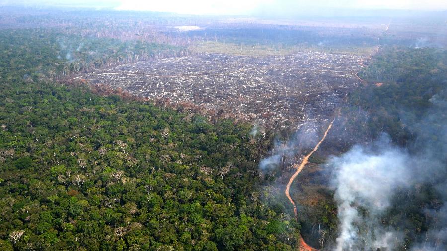 Cerca de 6.288 quilômetros quadrados da Amazônia foram destruídos entre agosto de 2023 e julho de 2024