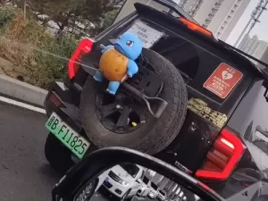 'Pokémon antibuzina' combate motorista impaciente; saiba se é permitido