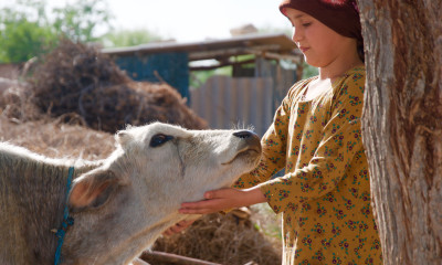 Tajikistan Climate Visuals Madeline Dahm IWMI cover