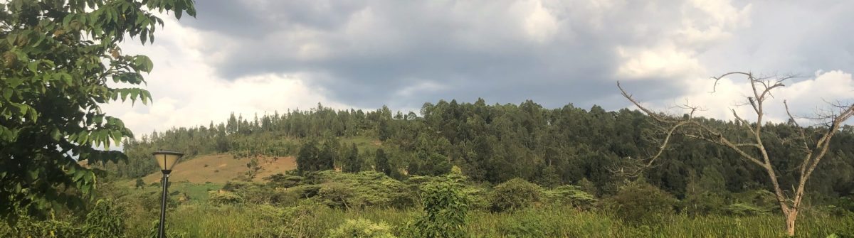 Green hill in Kigali, Rwanda