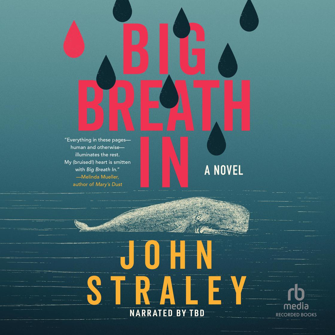 Big Breath In by John Straley