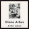 Cover of: Diane Arbus