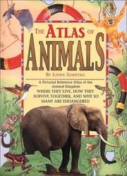 Cover of: Animal Atlas (Copper Beech Atlases)