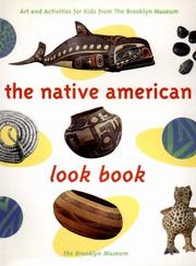 The Native American look book by Missy Sullivan