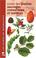 Cover of: Guide des plantes sauvages comestibles et toxiques