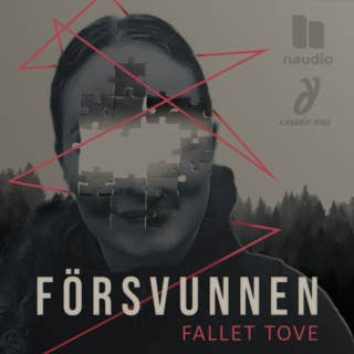 Försvunnen: Fallet Tove