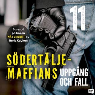 Södertäljemaffians uppgång och fall